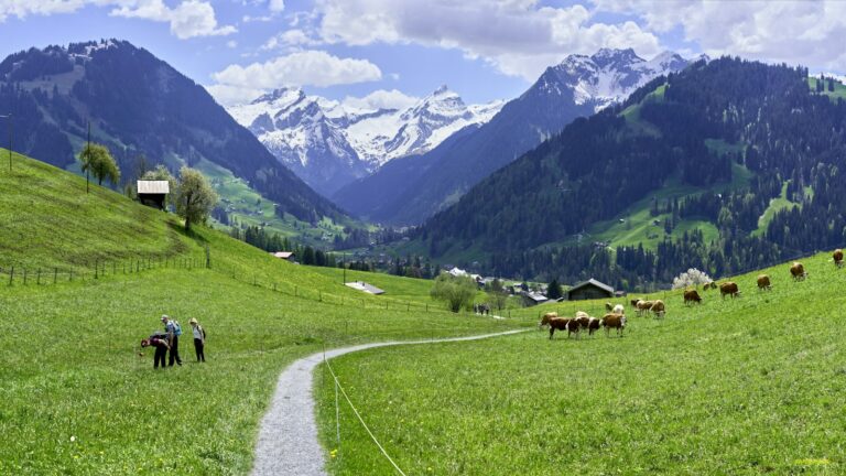 Bagnes, Capitale de la Raclette 2027 (date à confirmer)